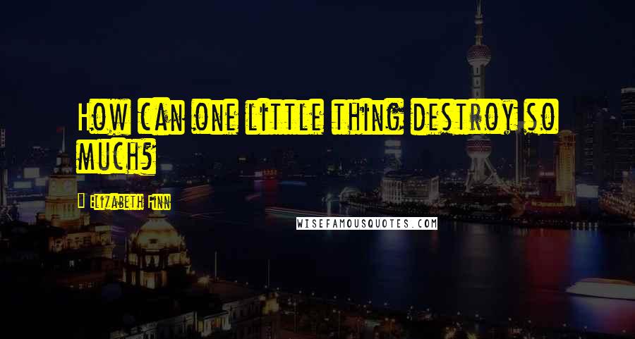 Elizabeth Finn Quotes: How can one little thing destroy so much?