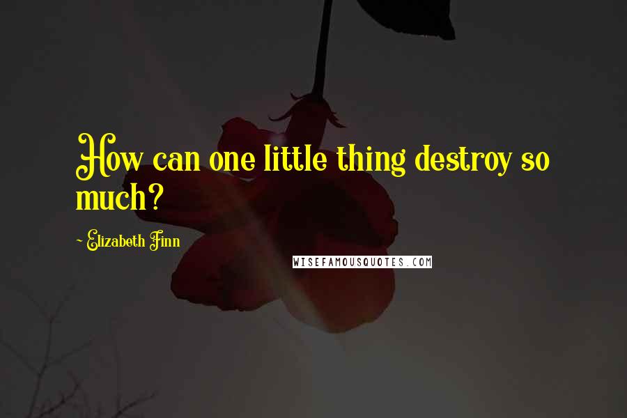 Elizabeth Finn Quotes: How can one little thing destroy so much?