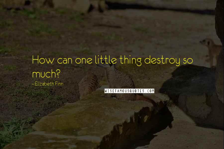 Elizabeth Finn Quotes: How can one little thing destroy so much?