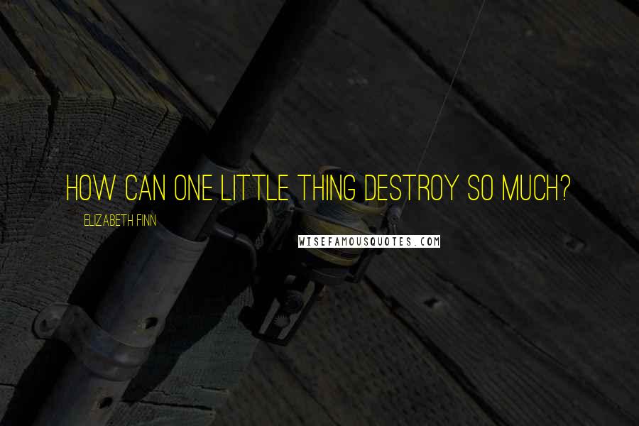 Elizabeth Finn Quotes: How can one little thing destroy so much?