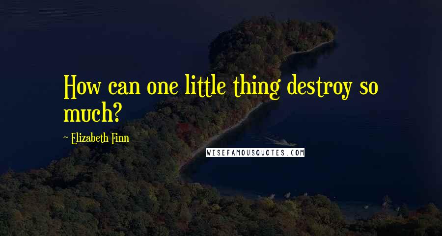 Elizabeth Finn Quotes: How can one little thing destroy so much?
