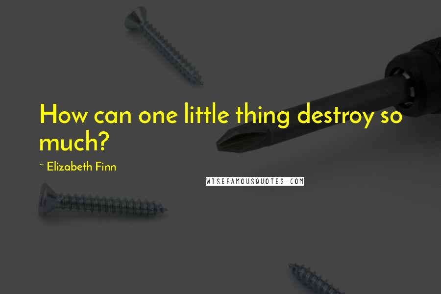 Elizabeth Finn Quotes: How can one little thing destroy so much?