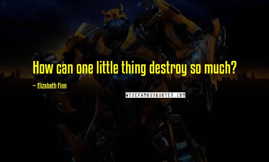 Elizabeth Finn Quotes: How can one little thing destroy so much?