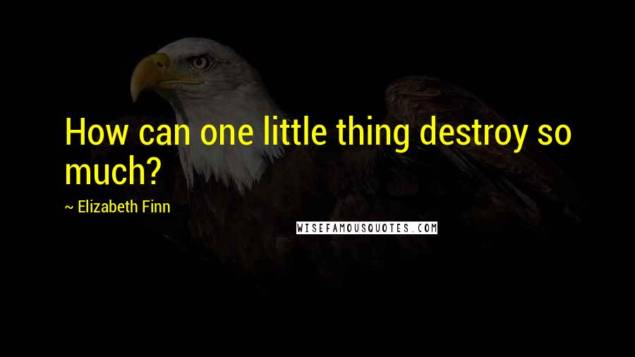 Elizabeth Finn Quotes: How can one little thing destroy so much?