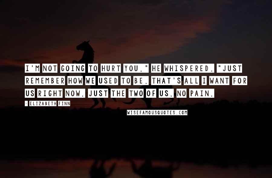 Elizabeth Finn Quotes: I'm not going to hurt you," he whispered. "Just remember how we used to be. That's all I want for us right now. Just the two of us. No pain.