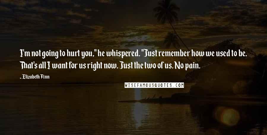 Elizabeth Finn Quotes: I'm not going to hurt you," he whispered. "Just remember how we used to be. That's all I want for us right now. Just the two of us. No pain.