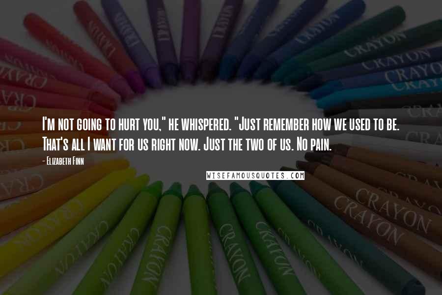 Elizabeth Finn Quotes: I'm not going to hurt you," he whispered. "Just remember how we used to be. That's all I want for us right now. Just the two of us. No pain.