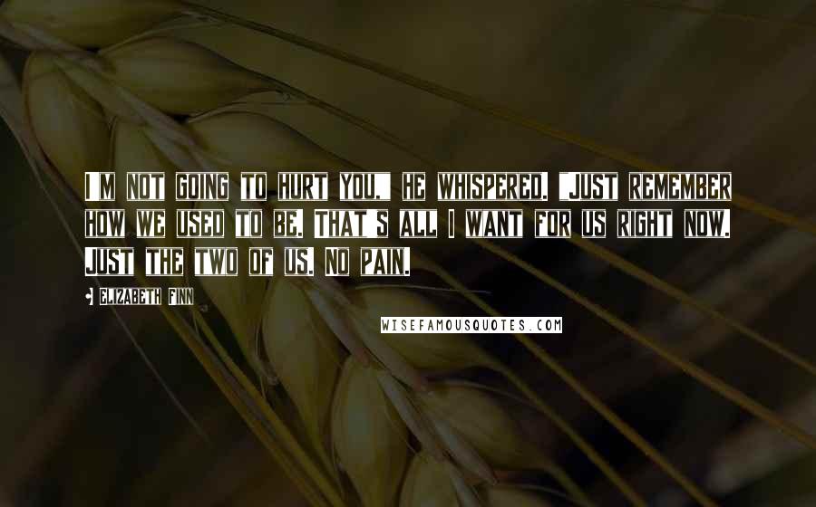 Elizabeth Finn Quotes: I'm not going to hurt you," he whispered. "Just remember how we used to be. That's all I want for us right now. Just the two of us. No pain.