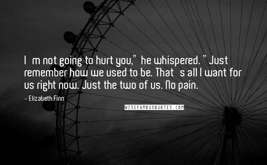 Elizabeth Finn Quotes: I'm not going to hurt you," he whispered. "Just remember how we used to be. That's all I want for us right now. Just the two of us. No pain.