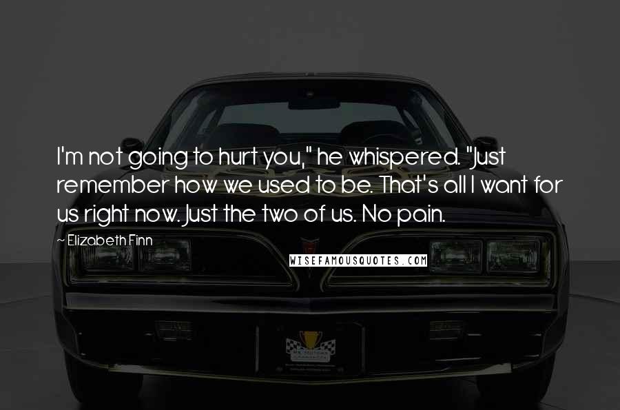 Elizabeth Finn Quotes: I'm not going to hurt you," he whispered. "Just remember how we used to be. That's all I want for us right now. Just the two of us. No pain.