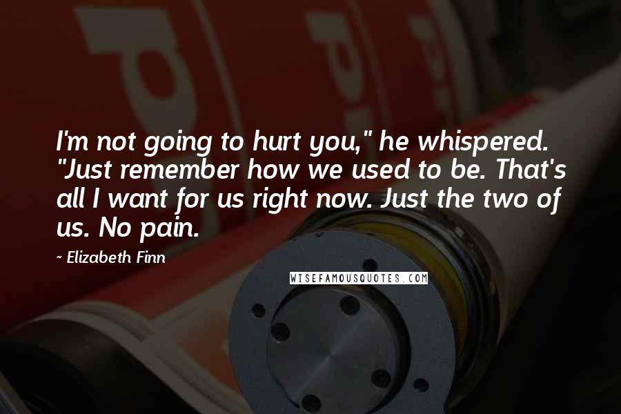 Elizabeth Finn Quotes: I'm not going to hurt you," he whispered. "Just remember how we used to be. That's all I want for us right now. Just the two of us. No pain.