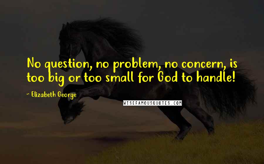 Elizabeth George Quotes: No question, no problem, no concern, is too big or too small for God to handle!