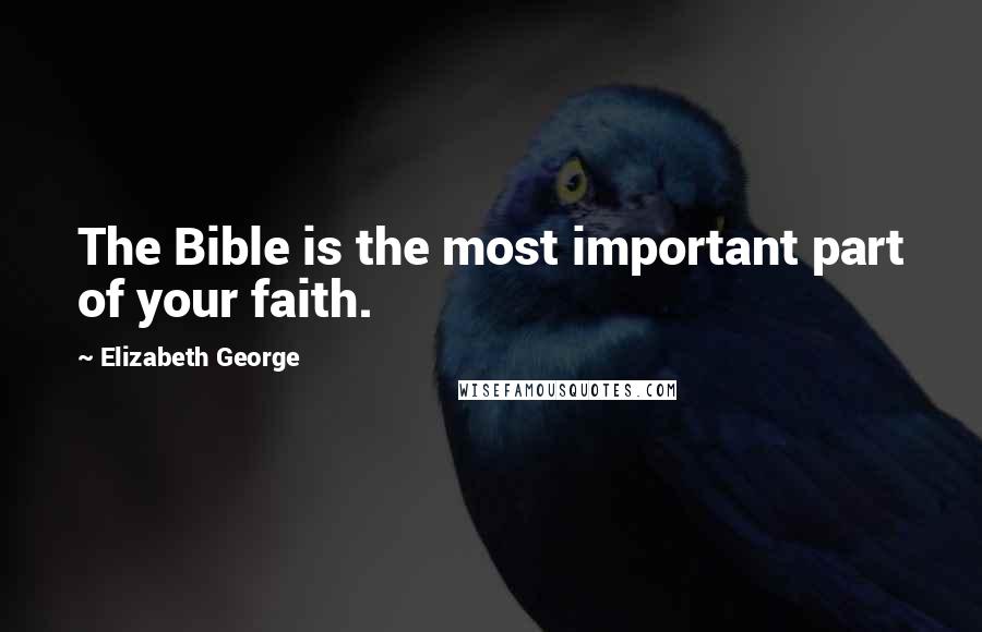 Elizabeth George Quotes: The Bible is the most important part of your faith.