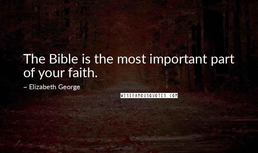 Elizabeth George Quotes: The Bible is the most important part of your faith.