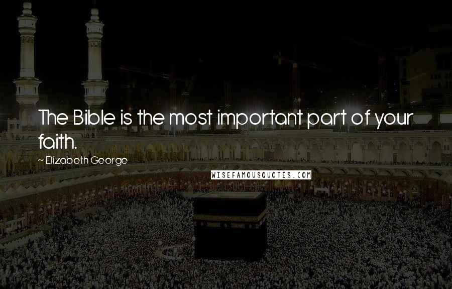 Elizabeth George Quotes: The Bible is the most important part of your faith.