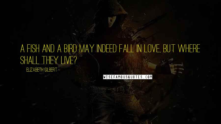 Elizabeth Gilbert Quotes: A fish and a bird may indeed fall in love, but where shall they live?