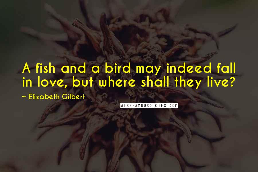 Elizabeth Gilbert Quotes: A fish and a bird may indeed fall in love, but where shall they live?