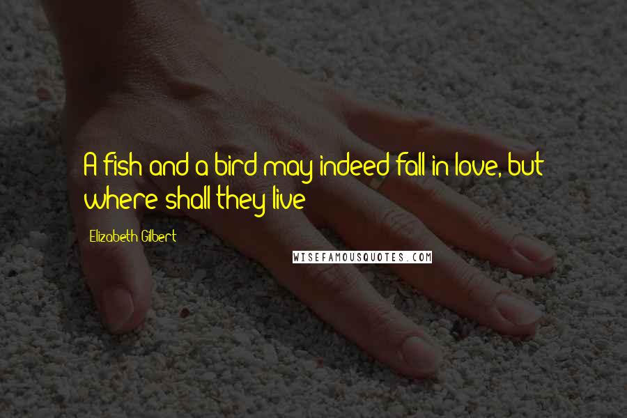 Elizabeth Gilbert Quotes: A fish and a bird may indeed fall in love, but where shall they live?