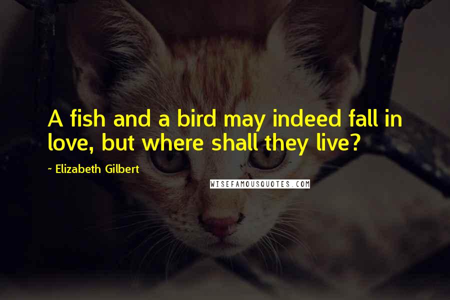 Elizabeth Gilbert Quotes: A fish and a bird may indeed fall in love, but where shall they live?