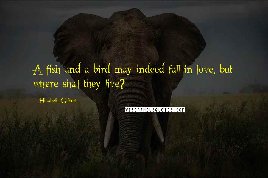 Elizabeth Gilbert Quotes: A fish and a bird may indeed fall in love, but where shall they live?