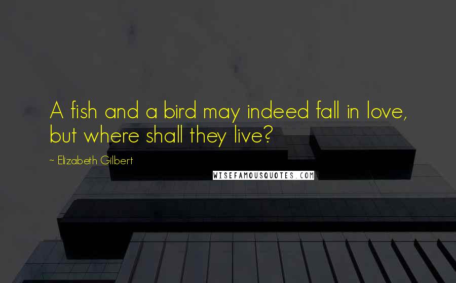 Elizabeth Gilbert Quotes: A fish and a bird may indeed fall in love, but where shall they live?