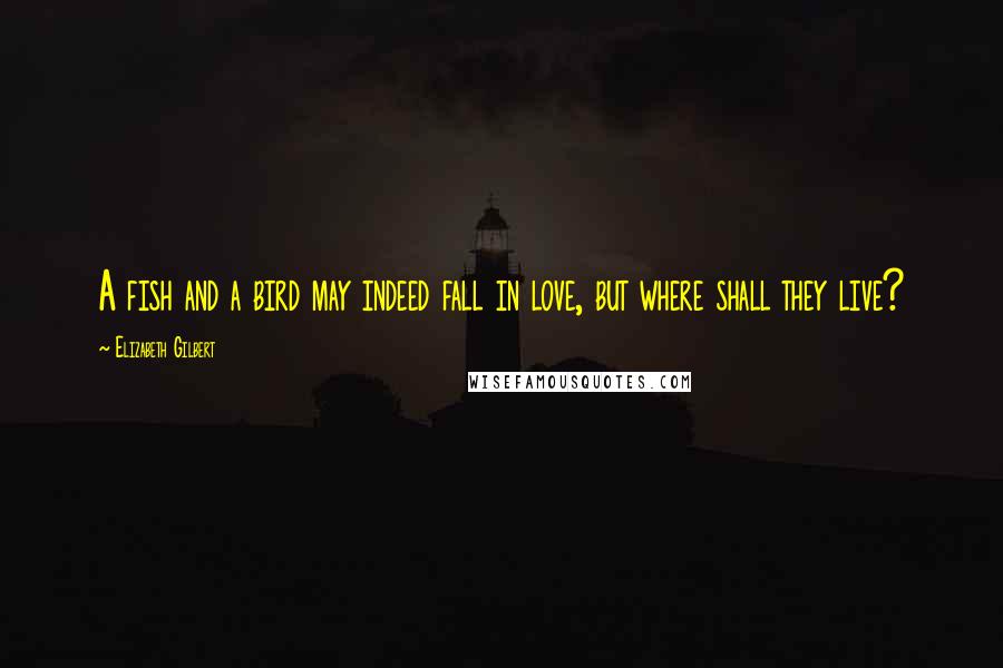Elizabeth Gilbert Quotes: A fish and a bird may indeed fall in love, but where shall they live?