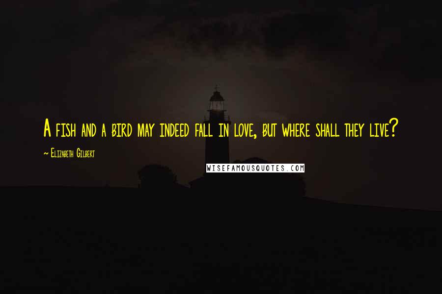 Elizabeth Gilbert Quotes: A fish and a bird may indeed fall in love, but where shall they live?