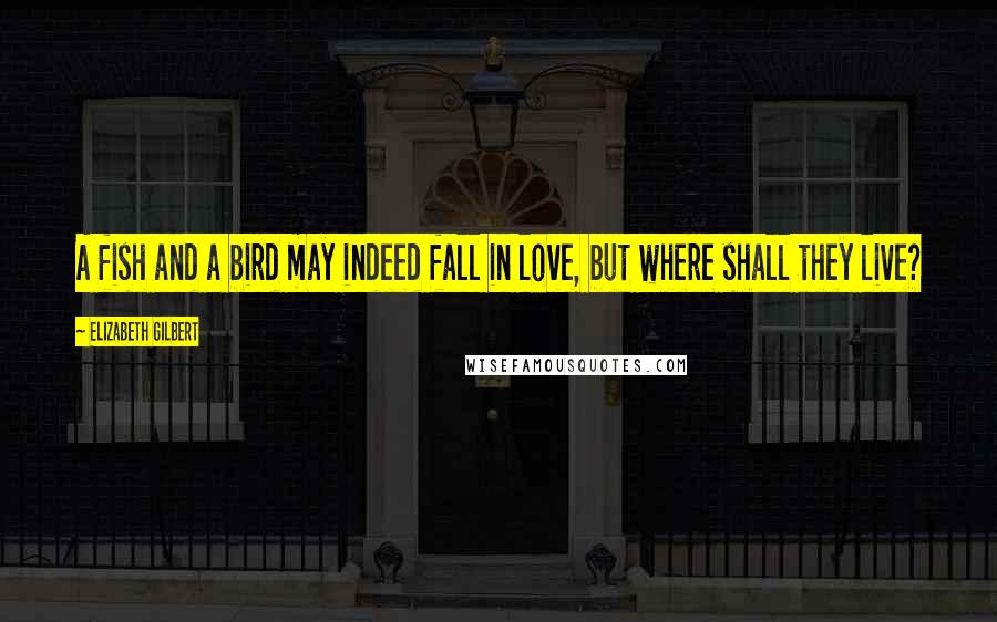 Elizabeth Gilbert Quotes: A fish and a bird may indeed fall in love, but where shall they live?