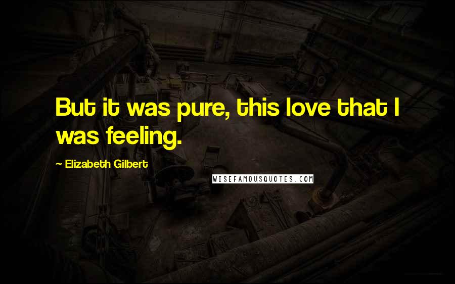 Elizabeth Gilbert Quotes: But it was pure, this love that I was feeling.