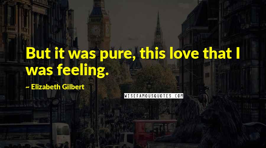 Elizabeth Gilbert Quotes: But it was pure, this love that I was feeling.