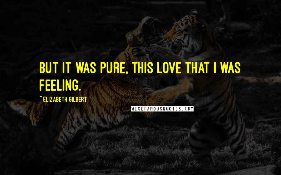 Elizabeth Gilbert Quotes: But it was pure, this love that I was feeling.