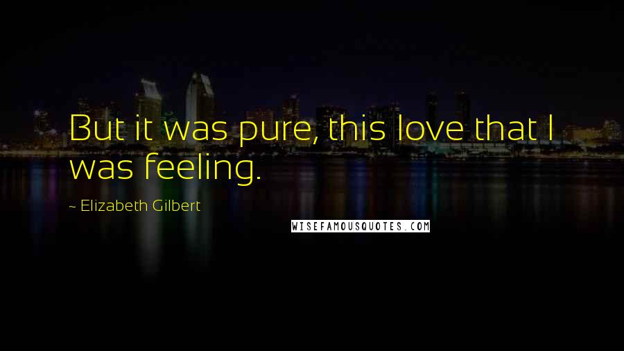 Elizabeth Gilbert Quotes: But it was pure, this love that I was feeling.