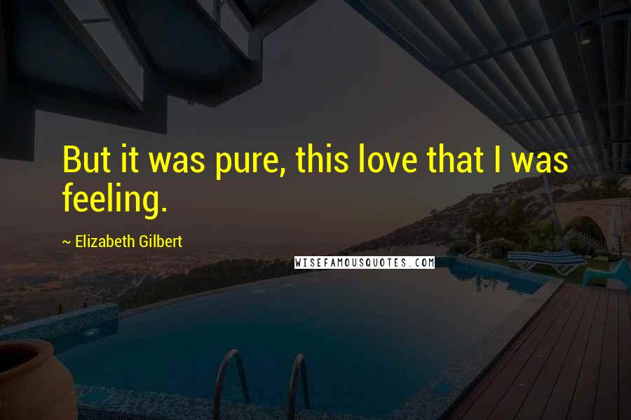 Elizabeth Gilbert Quotes: But it was pure, this love that I was feeling.
