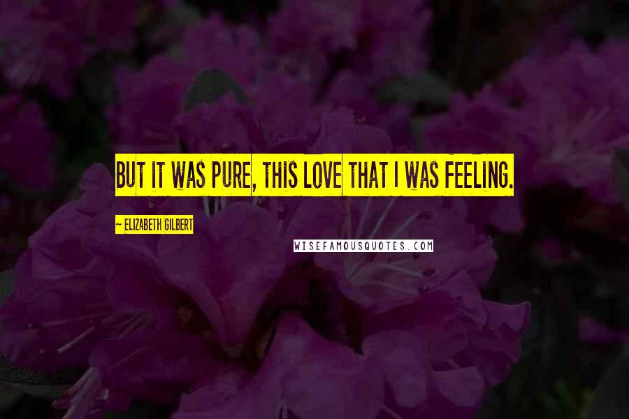 Elizabeth Gilbert Quotes: But it was pure, this love that I was feeling.