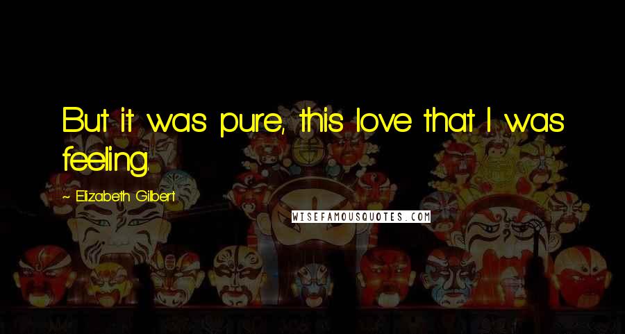 Elizabeth Gilbert Quotes: But it was pure, this love that I was feeling.