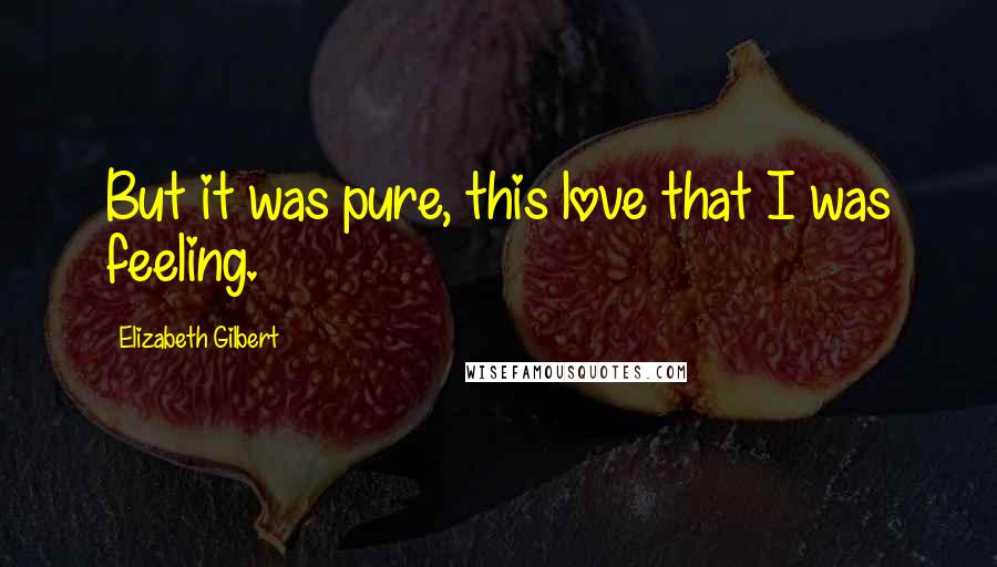 Elizabeth Gilbert Quotes: But it was pure, this love that I was feeling.