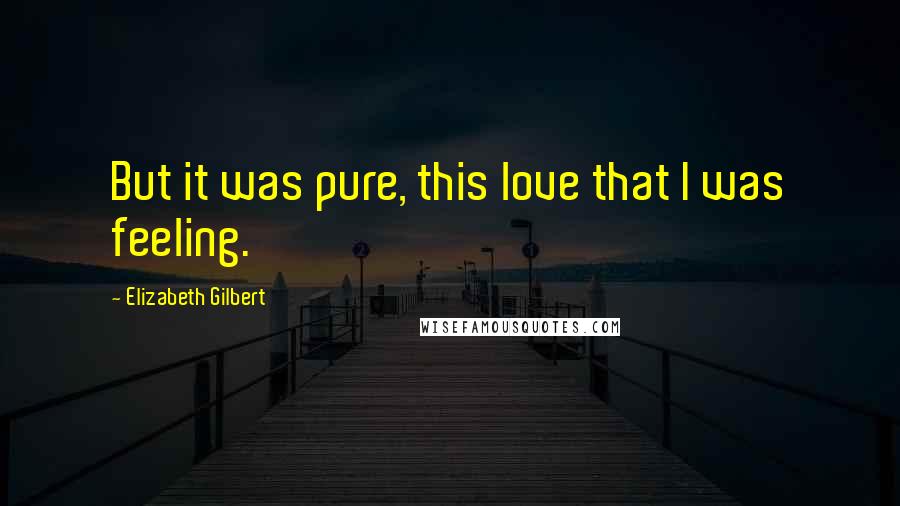 Elizabeth Gilbert Quotes: But it was pure, this love that I was feeling.