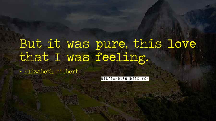 Elizabeth Gilbert Quotes: But it was pure, this love that I was feeling.