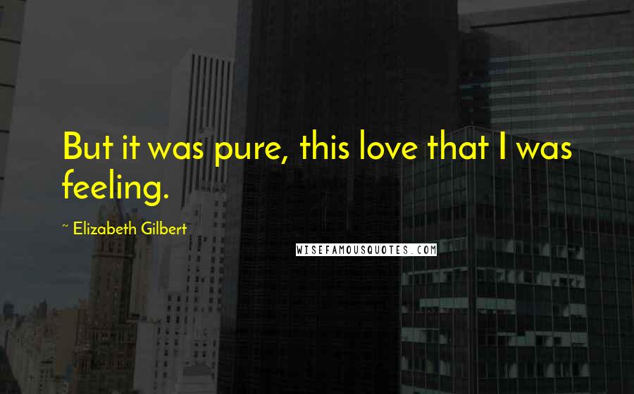 Elizabeth Gilbert Quotes: But it was pure, this love that I was feeling.