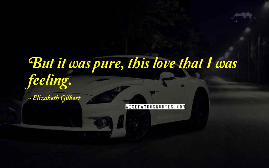 Elizabeth Gilbert Quotes: But it was pure, this love that I was feeling.