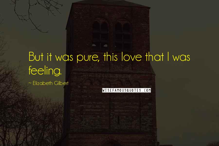 Elizabeth Gilbert Quotes: But it was pure, this love that I was feeling.