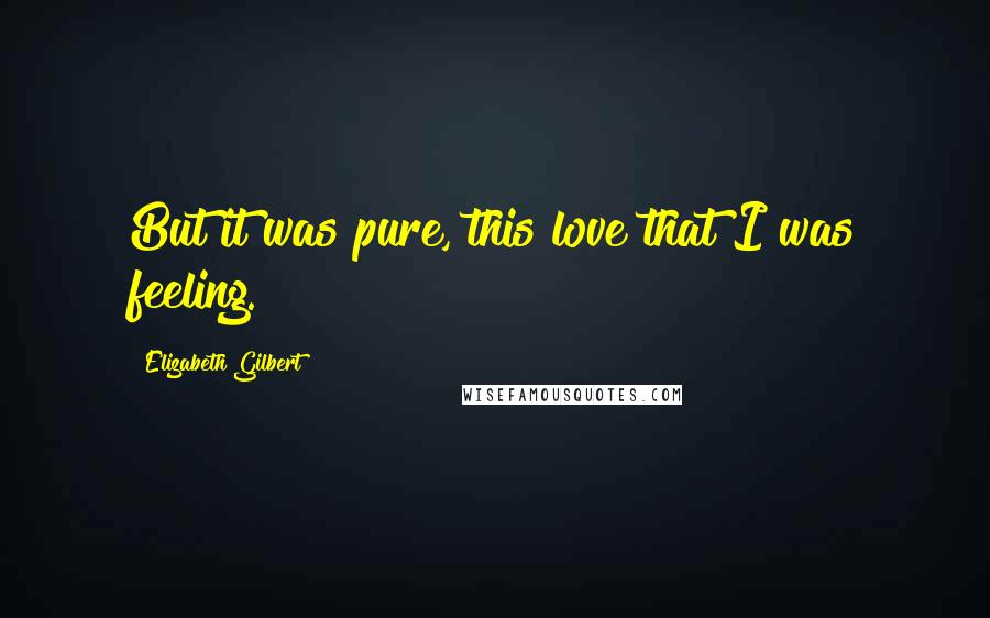 Elizabeth Gilbert Quotes: But it was pure, this love that I was feeling.