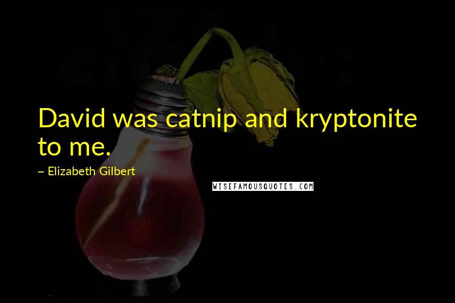 Elizabeth Gilbert Quotes: David was catnip and kryptonite to me.