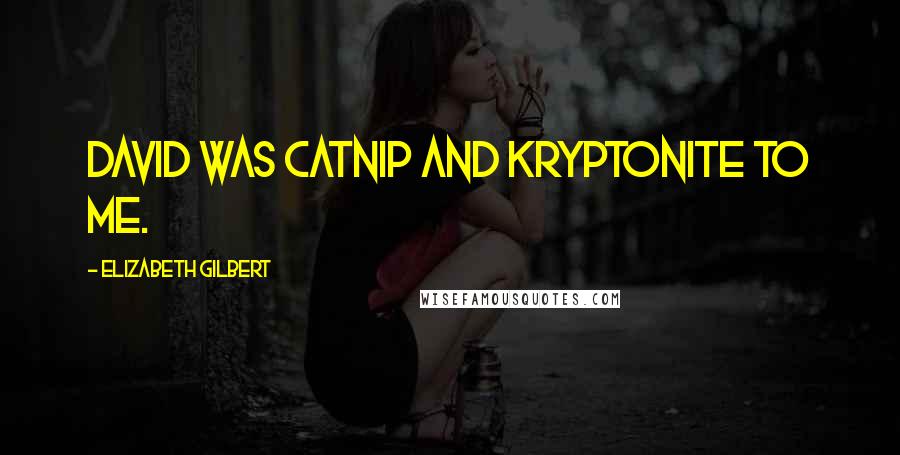 Elizabeth Gilbert Quotes: David was catnip and kryptonite to me.
