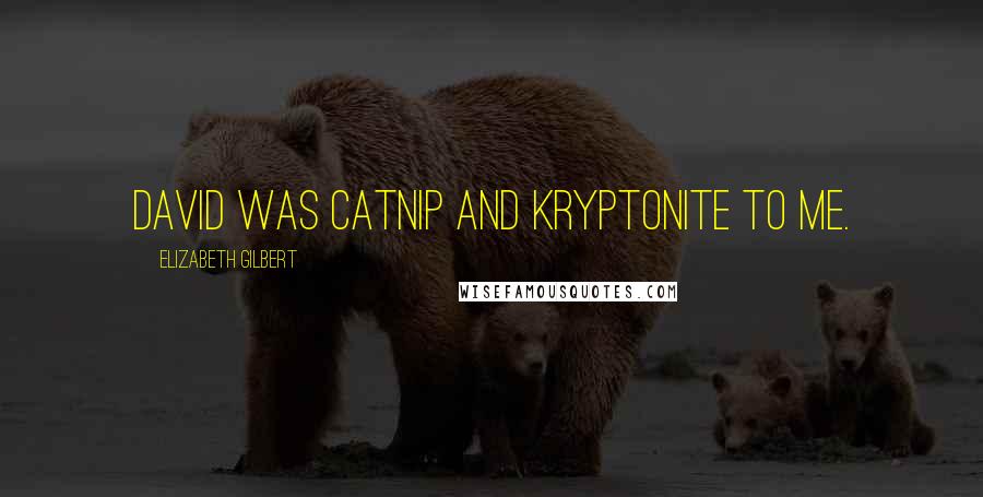 Elizabeth Gilbert Quotes: David was catnip and kryptonite to me.