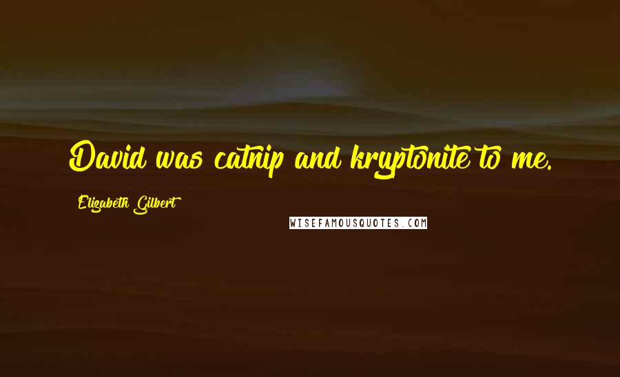 Elizabeth Gilbert Quotes: David was catnip and kryptonite to me.