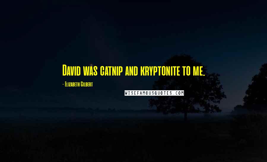 Elizabeth Gilbert Quotes: David was catnip and kryptonite to me.