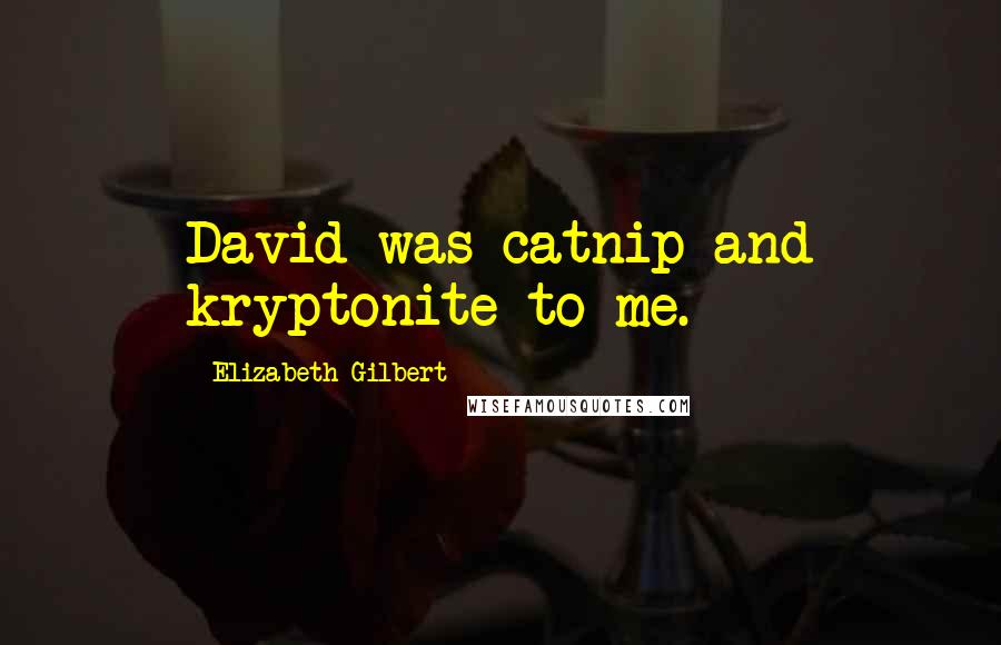 Elizabeth Gilbert Quotes: David was catnip and kryptonite to me.