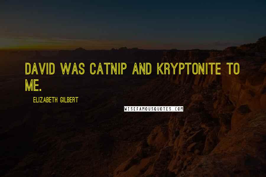 Elizabeth Gilbert Quotes: David was catnip and kryptonite to me.