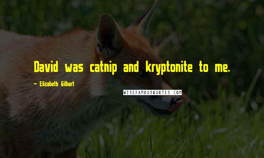 Elizabeth Gilbert Quotes: David was catnip and kryptonite to me.